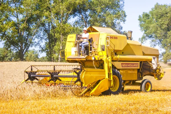 Combine harvesting corn — Stock Photo, Image