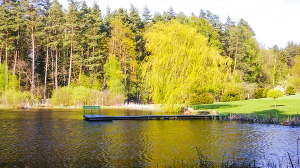 Hus mitt i skogen — Stockfoto