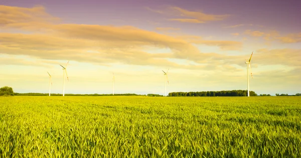 Windmolenpark — Stockfoto