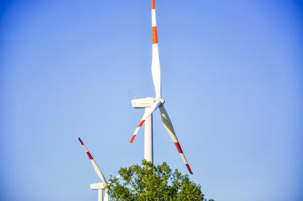 Wind farm — Stock Photo, Image