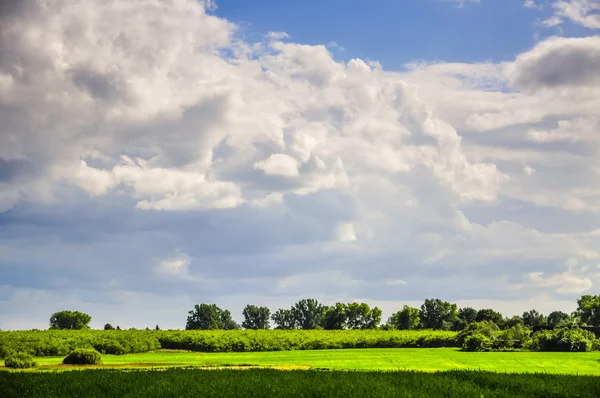 Paisaje durante la primavera —  Fotos de Stock