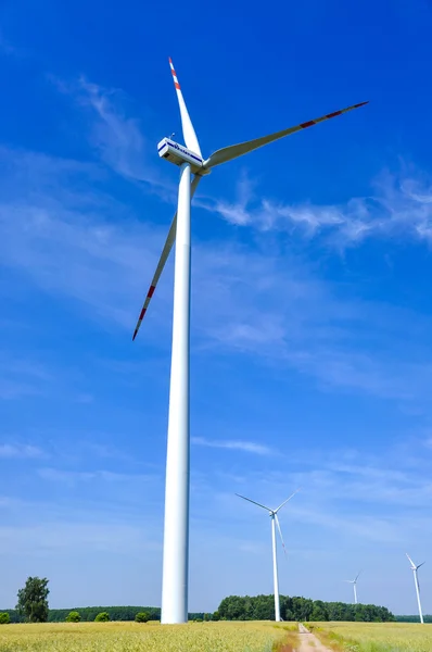 Windmolenpark — Stockfoto