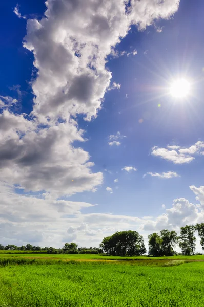 Paisaje durante la primavera —  Fotos de Stock