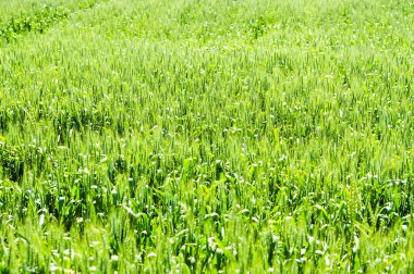 Fabrika görüntüsünü