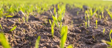 Fabrika görüntüsünü