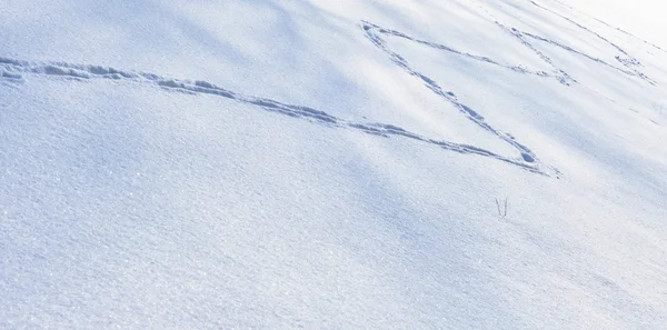 Kış aylarında manzara — Stok fotoğraf