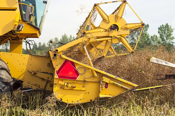 Combineer oogstmachine — Stockfoto