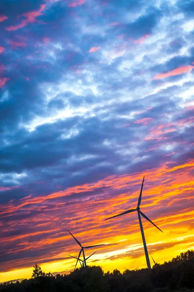 Windturbines — Zdjęcie stockowe