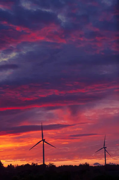 Вітрові турбіни — стокове фото