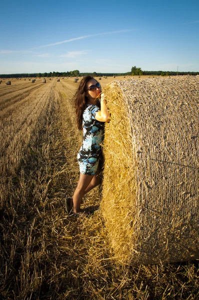 Brunetka dziewczynka portret i słomy beli — Zdjęcie stockowe