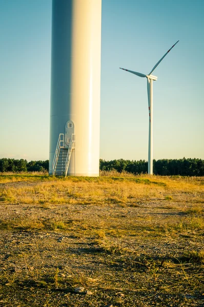 Windturbines в сутінках — стокове фото