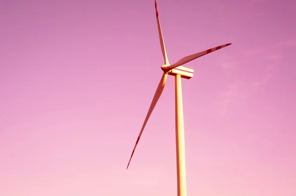 Opravené windturbines za soumraku — Stock fotografie