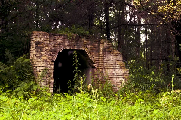 Edifício velho escondido na floresta — Fotografia de Stock