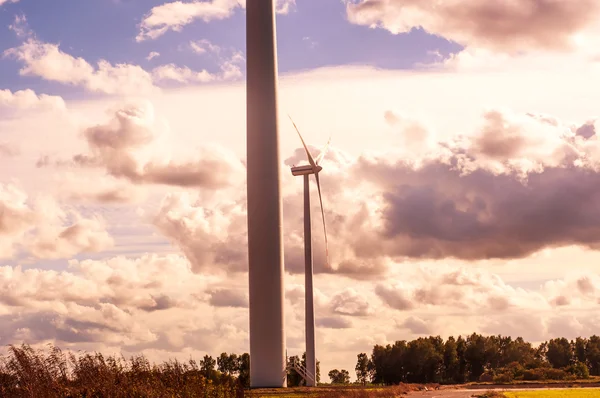 A napos Windturbine — Stock Fotó