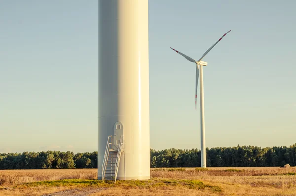 Windturbines in de schemering — Stockfoto