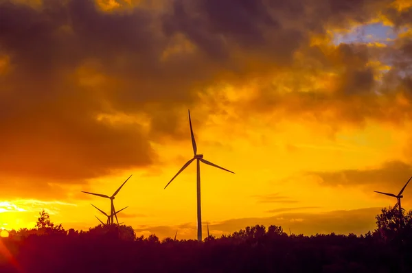 Turbina a vento durante il bel tramonto — Foto Stock