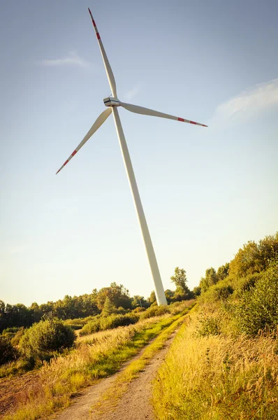 Windturbine op zonnige dag — Stockfoto