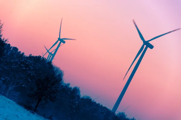 Turbina eolica al tramonto — Foto Stock