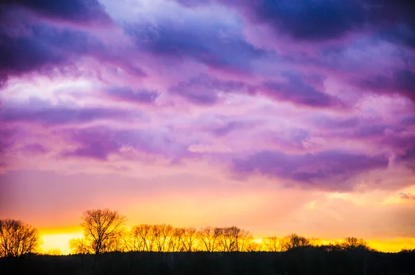 Sílhueta de árvore durante o pôr do sol — Fotografia de Stock