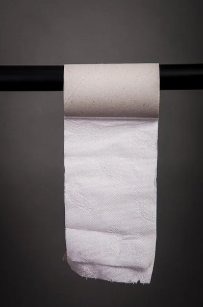 Empty toilet paper roll — Stock Photo, Image