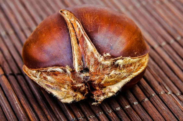 Roasted chestnut — Stock Photo, Image