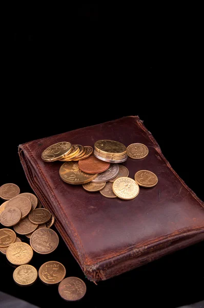 Monedero y monedas de cuero marrón zloty — Foto de Stock
