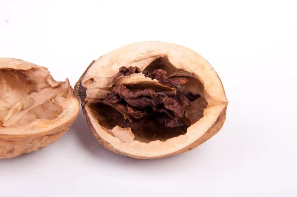 Walnut — Stock Photo, Image