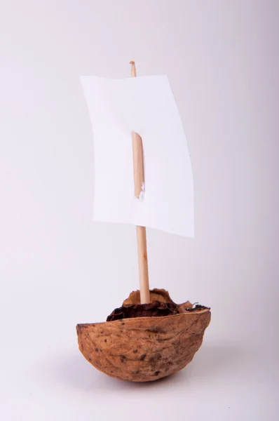 Ореховая лодка — стоковое фото
