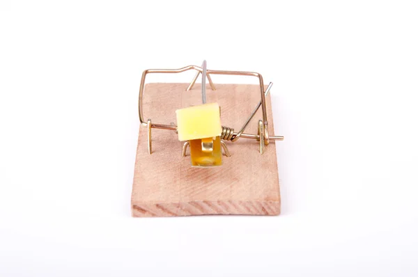 Mouse trap — Stock Photo, Image