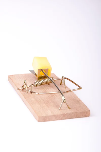 Mouse trap — Stock Photo, Image