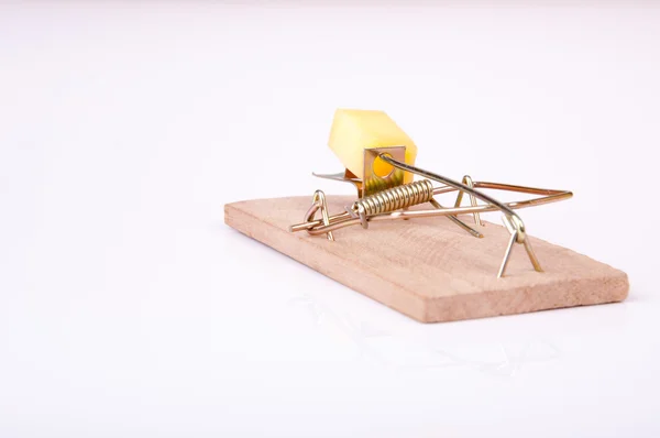 Mouse trap — Stock Photo, Image