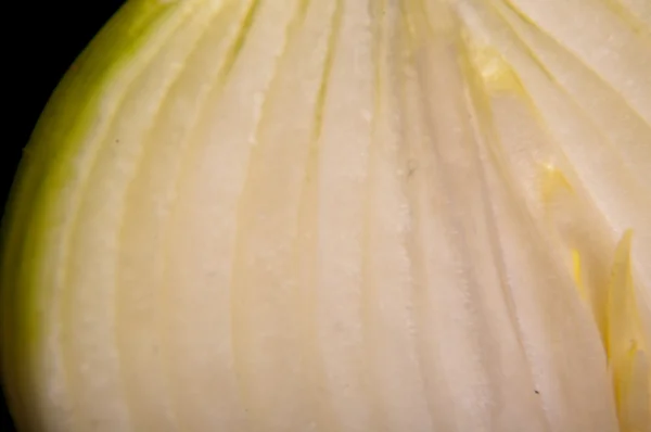 Zwiebeln aus nächster Nähe — Stockfoto