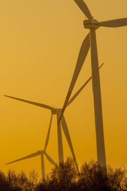 windturbine jeneratör