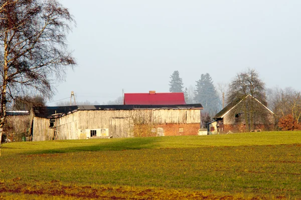 Польская ферма — стоковое фото