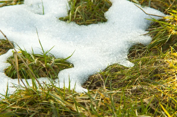 Derretendo neve no prado — Fotografia de Stock