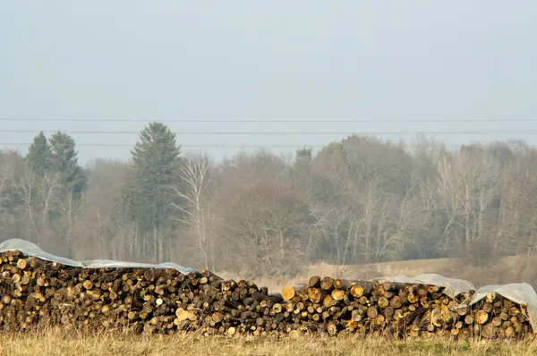 Högen av trä — Stockfoto