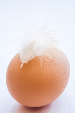 geçiş yumuşatma ile tavuk yumurta