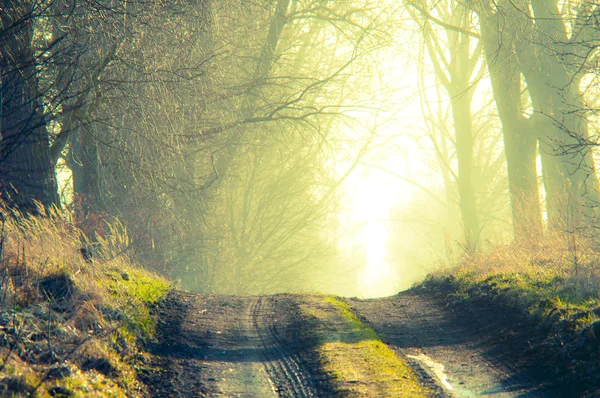 Field way — Stock Photo, Image