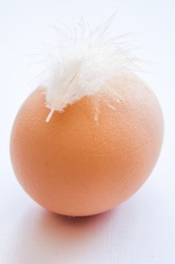 geçiş yumuşatma ile tavuk yumurta