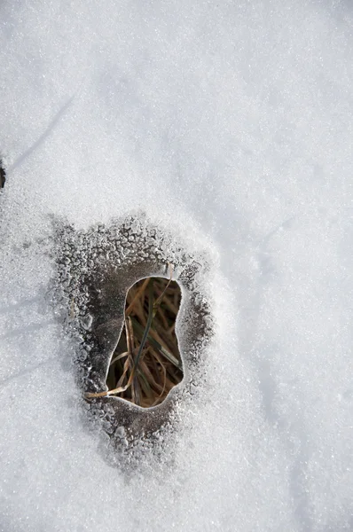 Sciogliere la neve — Foto Stock