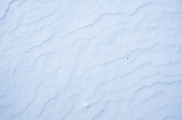 Śnieg detal — Zdjęcie stockowe