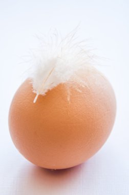 geçiş yumuşatma ile tavuk yumurta