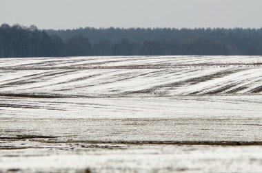 Mısır gevreği alan kış