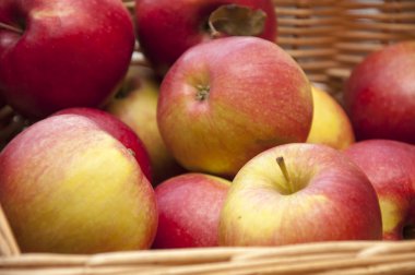 kırmızı taze elma