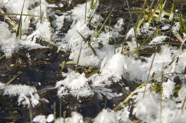 Schnee-Detail — Stockfoto