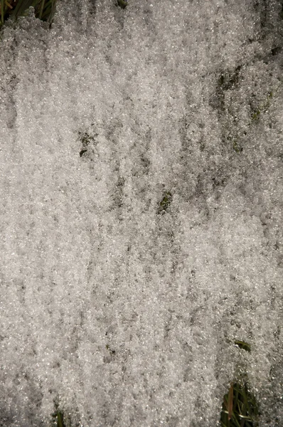 Smältande snö — Stockfoto