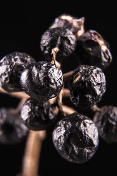 Schwarz mit Stange Frucht — Stockfoto