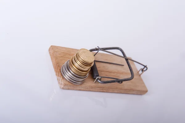 Mousetrap met geld — Stockfoto