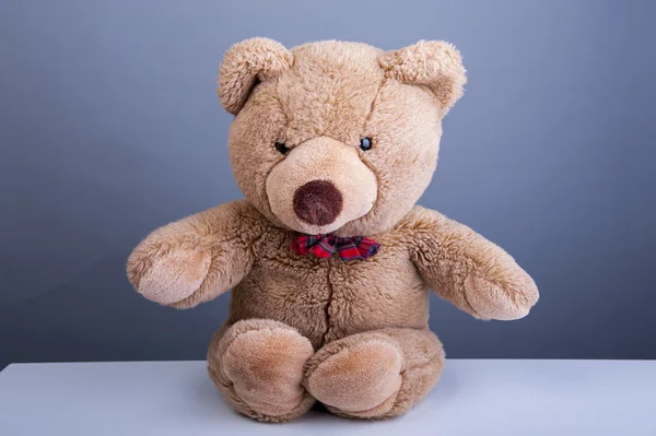 Teddy bear — Stockfoto