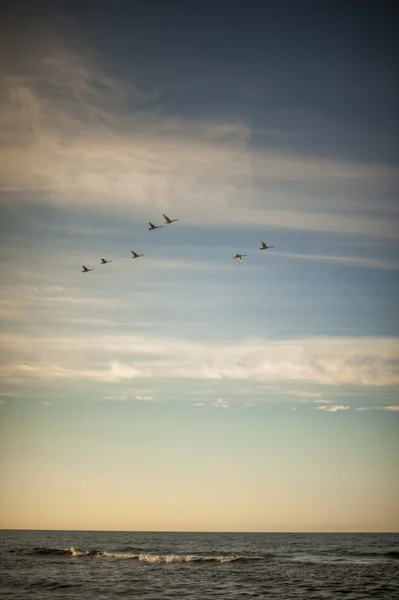 Pôr do sol sobre o mar Báltico — Fotografia de Stock